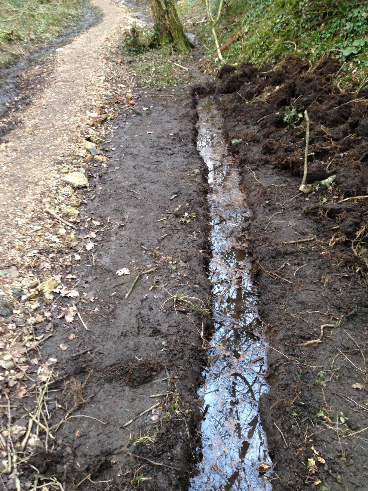 Encouraging biodiversity